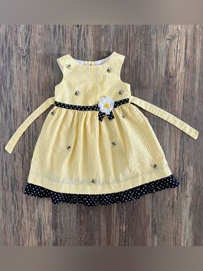 Counting Daisies Seersucker Gingham Sleeveless Dress 4T Yellow Bumblebees Daisy